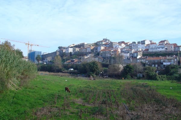 Foto 61 da atividade Galeria de Fotos