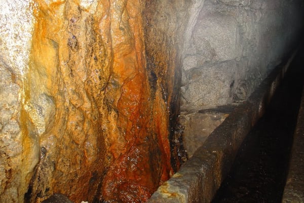 Foto 57 da atividade Galeria de Fotos