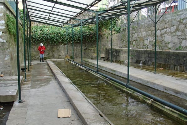 Foto 51 da atividade Galeria de Fotos