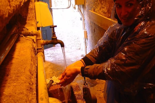 Foto 37 da atividade Galeria de Fotos