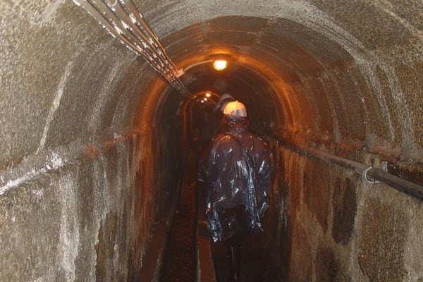 Foto 31 da atividade Galeria de Fotos