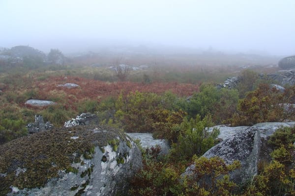 Foto 122 da atividade Galeria de Fotos