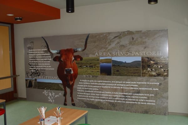 Foto 111 da atividade Galeria de Fotos