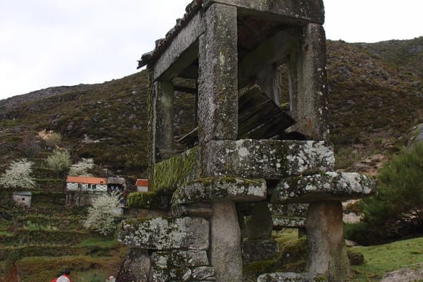 Foto 95 da atividade Galeria de Fotos