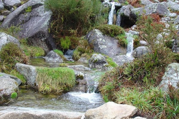 Foto 86 da atividade Galeria de Fotos