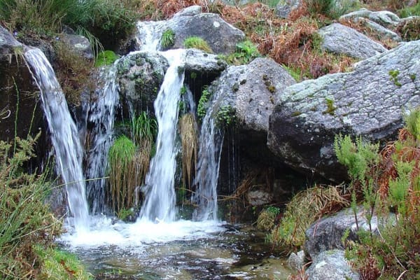 Foto 60 da atividade Galeria de Fotos