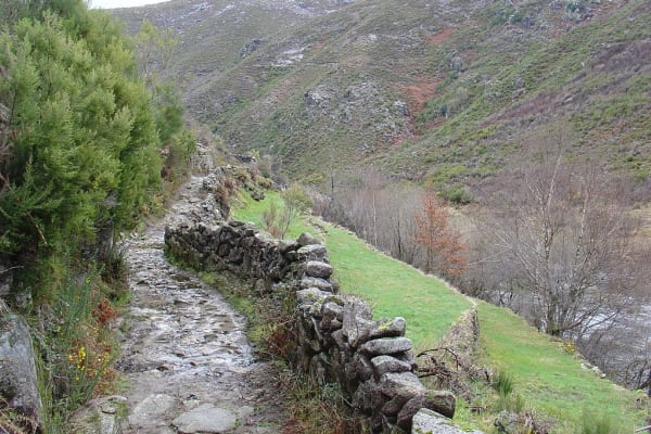 Foto 58 da atividade Galeria de Fotos