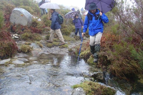 Foto 52 da atividade Galeria de Fotos