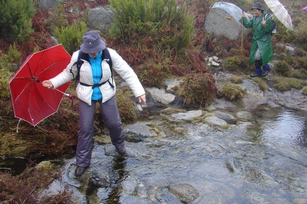 Foto 49 da atividade Galeria de Fotos