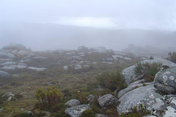 Foto 1 da atividade Galeria de Fotos