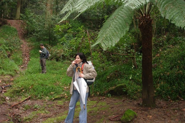 Foto 61 da atividade Galeria de Fotos