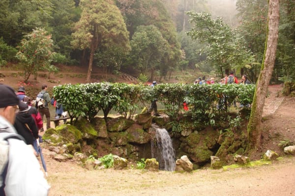 Foto 59 da atividade Galeria de Fotos