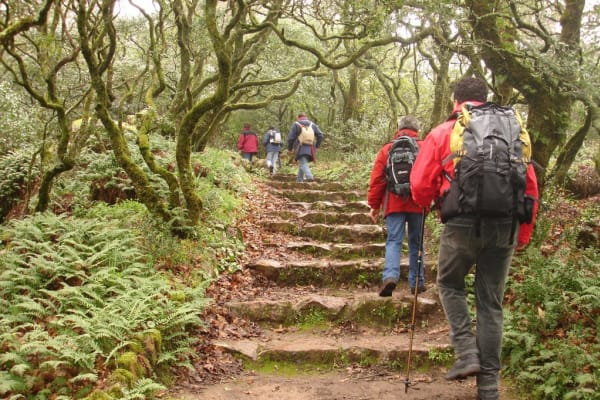 Foto 57 da atividade Galeria de Fotos