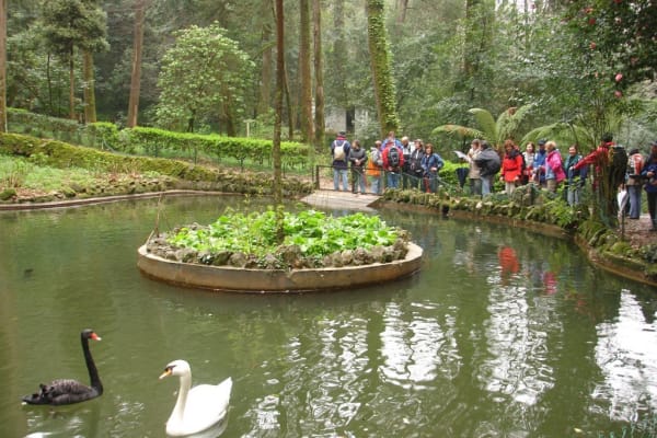 Foto 55 da atividade Galeria de Fotos