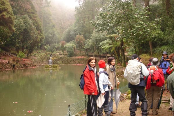 Foto 54 da atividade Galeria de Fotos