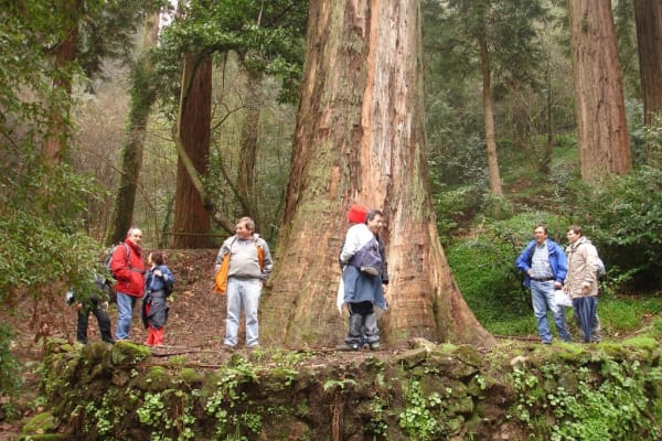 Foto 53 da atividade Galeria de Fotos