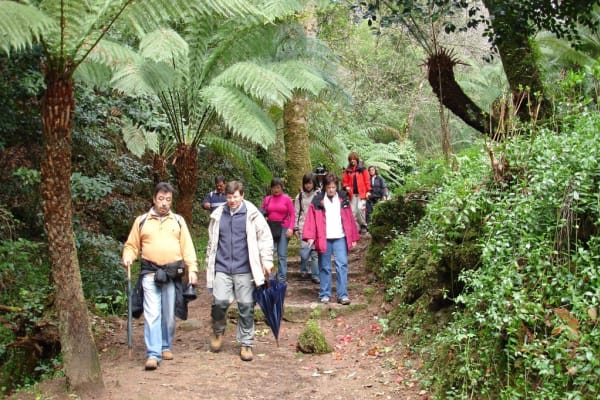 Foto 48 da atividade Galeria de Fotos