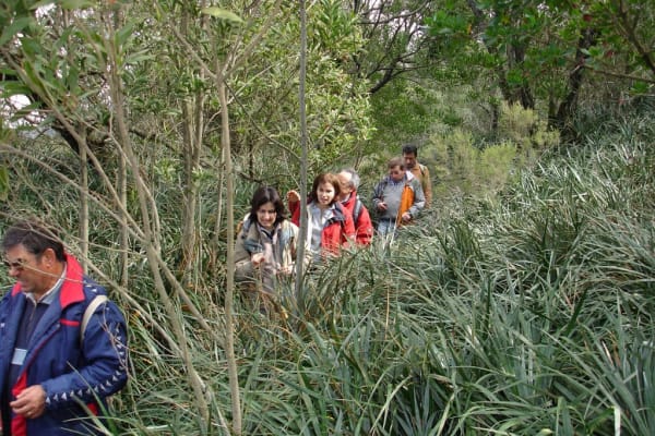 Foto 21 da atividade Galeria de Fotos