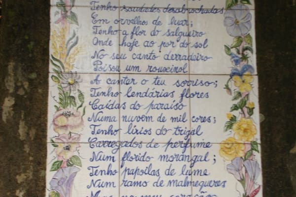 Foto 16 da atividade Galeria de Fotos