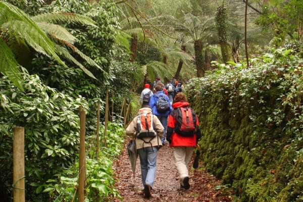 Foto 11 da atividade Galeria de Fotos