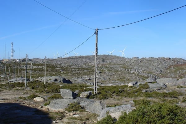 Foto 148 da atividade Galeria de Fotos