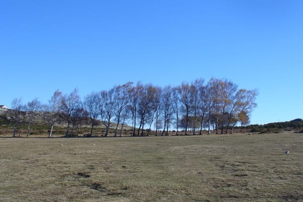 Foto 129 da atividade Galeria de Fotos