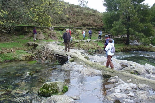 Foto 222 da atividade Galeria de Fotos