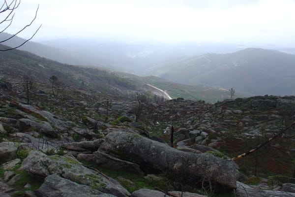 Foto 178 da atividade Galeria de Fotos