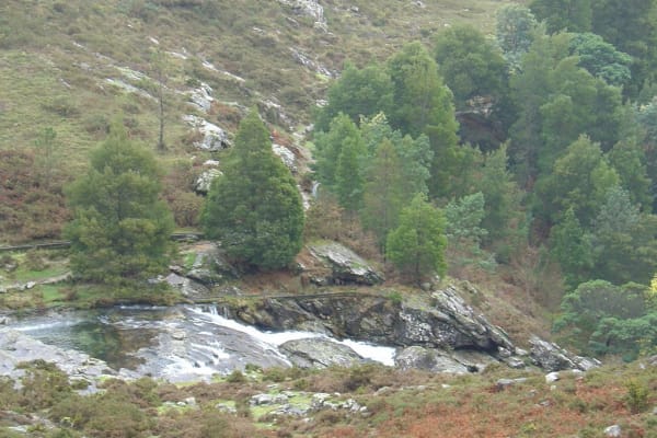 Foto 167 da atividade Galeria de Fotos