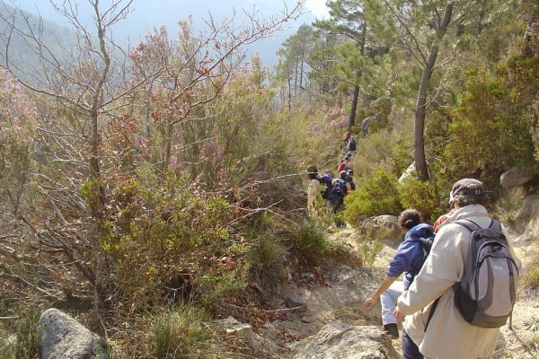 Foto 122 da atividade Galeria de Fotos