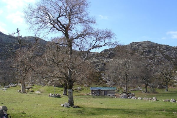 Foto 117 da atividade Galeria de Fotos