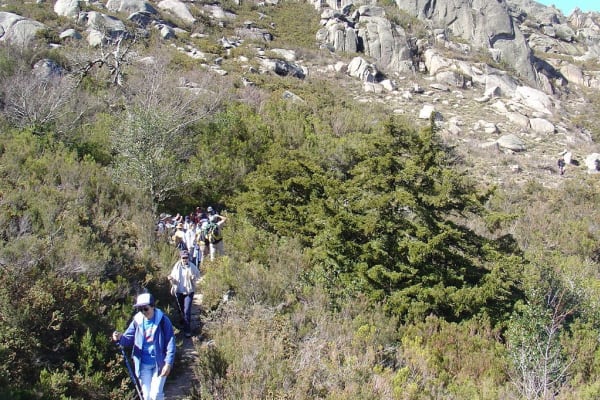 Foto 91 da atividade Galeria de Fotos