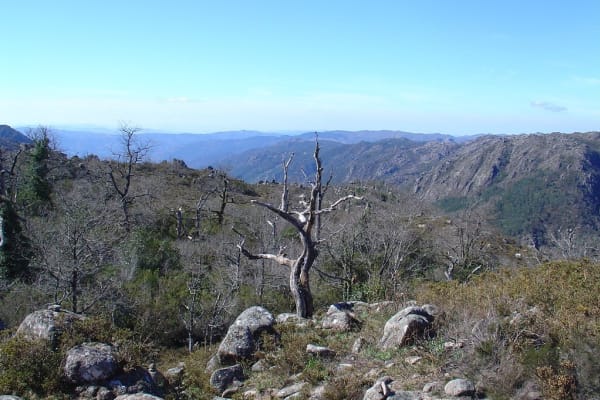 Foto 87 da atividade Galeria de Fotos