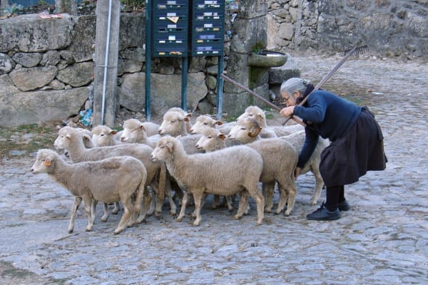 Foto 322 da atividade Galeria de Fotos