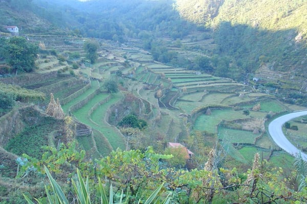 Foto 298 da atividade Galeria de Fotos