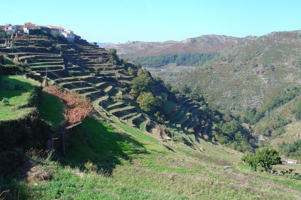 Foto 283 da atividade Galeria de Fotos