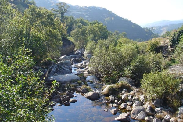 Foto 284 da atividade Galeria de Fotos