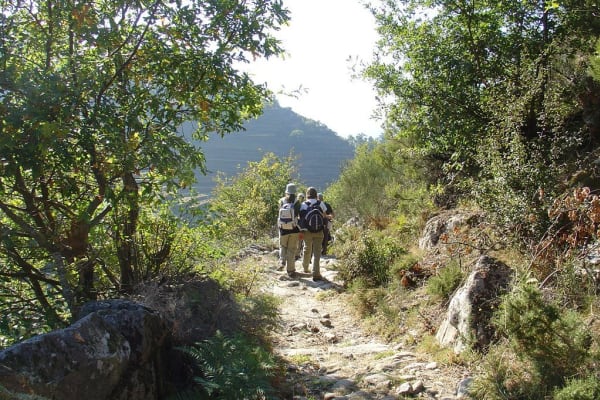 Foto 285 da atividade Galeria de Fotos