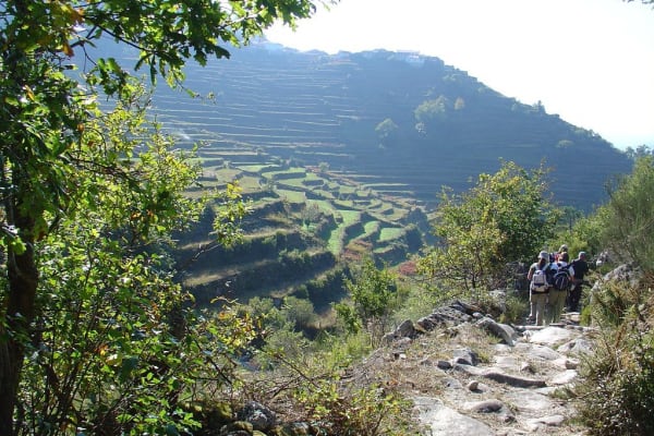 Foto 276 da atividade Galeria de Fotos