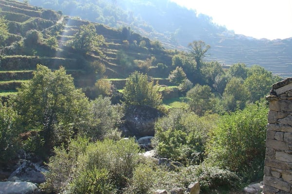 Foto 267 da atividade Galeria de Fotos