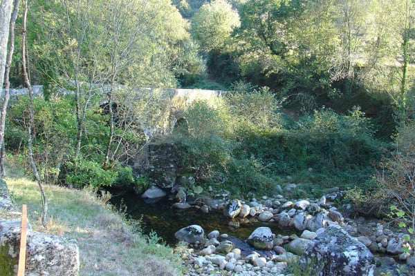 Foto 263 da atividade Galeria de Fotos