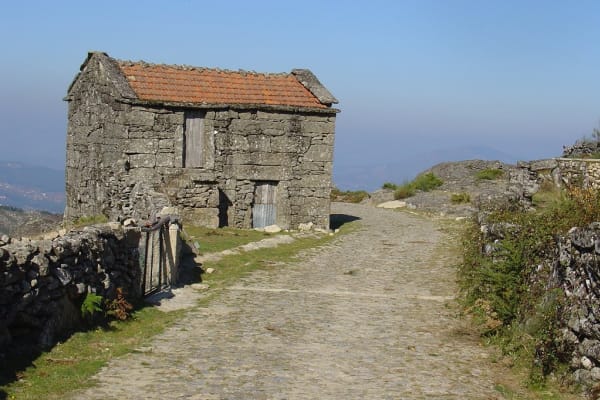 Foto 261 da atividade Galeria de Fotos