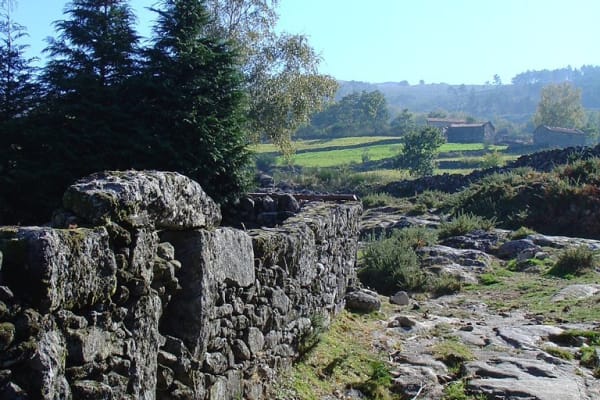 Foto 260 da atividade Galeria de Fotos