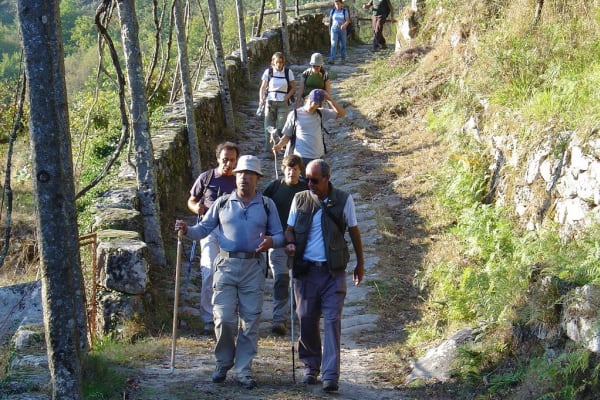 Foto 256 da atividade Galeria de Fotos