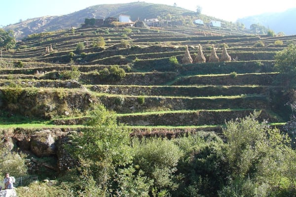 Foto 255 da atividade Galeria de Fotos