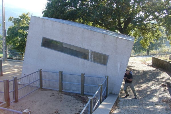 Foto 251 da atividade Galeria de Fotos