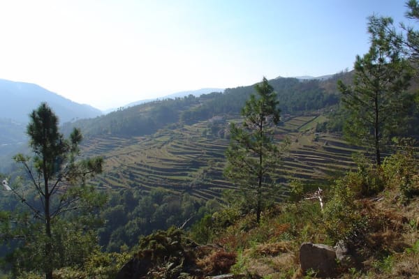 Foto 236 da atividade Galeria de Fotos