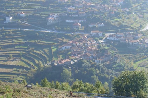 Foto 225 da atividade Galeria de Fotos