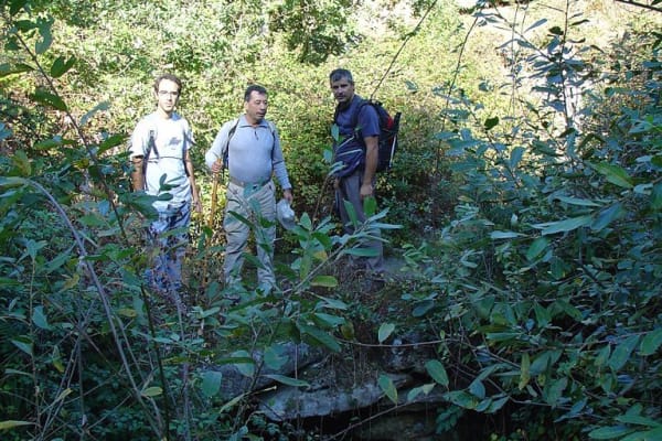 Foto 222 da atividade Galeria de Fotos