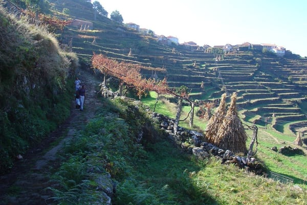 Foto 216 da atividade Galeria de Fotos